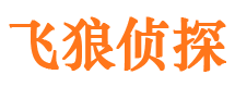 上街市私人侦探